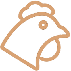 Κοτόπουλο ελληνικής προέλευσης